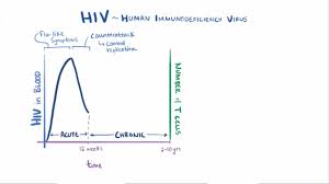 Human Immunodeficiency Virus Hiv Infection Infections