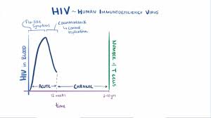 human immunodeficiency virus hiv infection infections