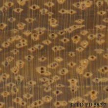 Image result for Intsia