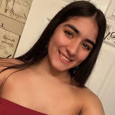 Students Gain Vital Experience with Virtual Summer Study Abroad Program:  Hamilton Lugar School : Indiana University