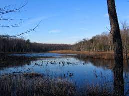 Deception pass state park spreads over 3,854 acres, a marine and camping park with 77,000 feet of saltwater shoreline and 33,900 feet of freshwater shoreline on three lakes. North Point