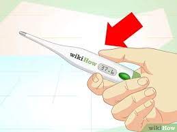 Suhu tubuh di atas normal menandakan tubuh tengah berjuang melawan penyakit atau infeksi yang menyerang. Cara Mengukur Temperatur Kucing Dengan Gambar Wikihow