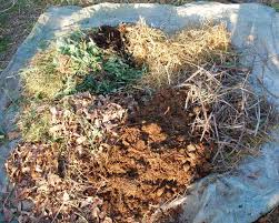 Add a second layer of browns while making a well or shallow hole in the middle. Compost Ingredients What To Compost Composting Materials