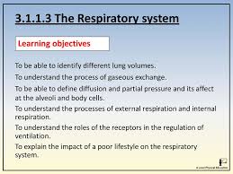The Respiratory System Ppt Download