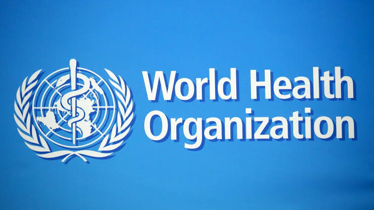 What is the World Health Organization and What Does it Do?