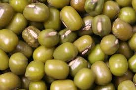 Kacang hijau kayu jati madu. Mung Bean Wiktionary