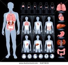Guess the name of the body parts on these cards and then click on the cards to see the. Knowledge Well Parts Of Body In Tamil