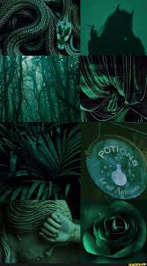 Download the perfect slytherin pictures. Slytherinaesthetic Memes Best Collection Of Funny Slytherinaesthetic Pictures On Ifunny Brazil