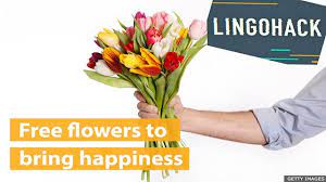 Fire and ice stephen flowers pdf. Bbc Learning English Lingohack Free Flowers To Bring Happiness
