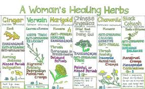 The Natural Store Natural Medicine Natural Remedies