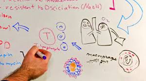 Epidemiology it is most common in infants and children and has the highest prevalence. Mycobacterium Tuberculosis Ù…Ø±Ø¶ Ø§Ù„Ø³Ù„ Ø§Ù„Ø±Ø¦ÙˆÙŠ Ø§Ù„ØªØ¯Ø±Ù† Youtube