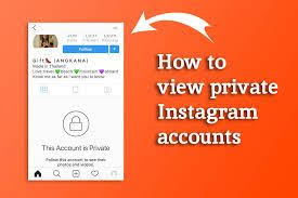 How Can You View Private Instagram Accounts In 2020 Instagram Private Account Buy Instagram Followers Instagram Accounts