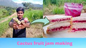 Foraging • oasis • cactus seeds. How To Make Cactus Fruit Jam At Home Esay And Healthy Youtube