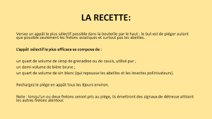 Alors que les abeilles sont déjà largement menacées par l'usage des pesticides, il faut également veiller à un autre fléau : Recette Frelon