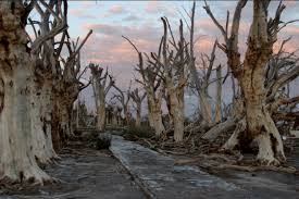 Epecuen is a touristic town located at adolfo alsina in buenos aires. Die Unterwasserstadt Fur Touristen