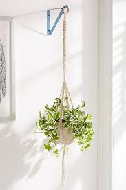 Beatrice Splattered Bracket Wall Hook Plant Wall Hanging Plant Wall Indoor Plant Wall