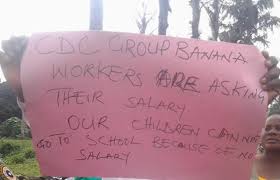 Notre programme favori sur arte : Cameroun Crise Anglophone Greve Les Employes De La Cdc En Greve Pour 13 Mois De Salaires Impayes