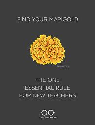 Teachers day best special flowers, just send it! Find Your Marigold The One Essential Rule For New Teachers Cult Of Pedagogy