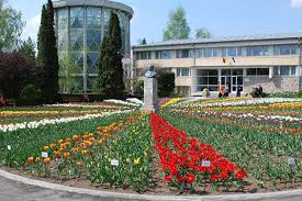 Expoziţie de crizanteme la grădina botanică din iaşi. Flori De ToamnÄ La GrÄdina BotanicÄ Nord Est News
