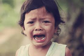 Peuter De Ontwikkelingen Van Je Kind In De Peutertijd 24baby Nl