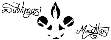 Setelah tahu kecilnya risiko jadi penulis, saya mulai menulis novel kedua. Kalimat Pembuka Di Blog