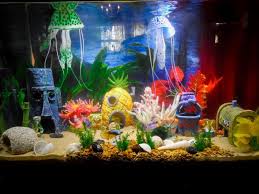 Aneka model meja aquarium jati jepara minimalis modern dan ukiran harga murah mulai 3 jutaan.meja aquarium modern dari ukuran 120 sampai 2. Ragam Hiasan Aquarium Dan Tips Dekorasi Inreview Id
