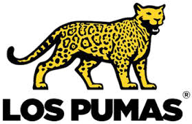 Show off your brand's personality with a custom puma logo designed just for you by a professional designer. Los Pumas Rugby Logo Icons Png Free Png And Icons Downloads