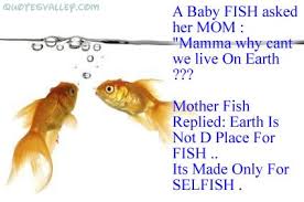 Quotes About Fish And Friends 27 Quotes
