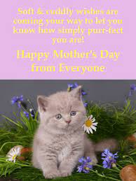 Maybe you would like to learn more about one of these? To A Purr Fect Mom Happy Mother S Day Card Birthday Greeting Cards By Davia