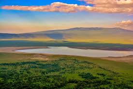 Ngorongoro Conservation Area - Native ...