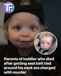 When you leave them unsupervised for 0.2 seconds.