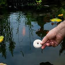 This longtime home remedy, which has been used to repel mosquitoes and other biting bugs, is simple, easy and quite effective because mosquitoes simply do not fancy the odor and flavor of garlic. 19 Effective Ways How To Keep Mosquitoes Away From Deck Patio Porch And Pool