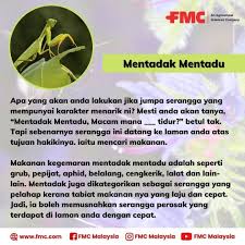 Found 1 sentences matching phrase mentadak.found in 0 ms. Fmc Malaysia Mentadak Mentadu Macam Mana Followers Facebook