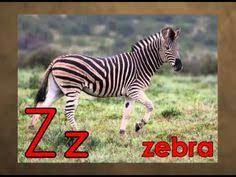 Animal alphabet move and groove a z jack hartmann تحميل واستماع mp3 mp4. 24 Alphabet Songs Ideas Alphabet Songs Learning Letters Alphabet Preschool