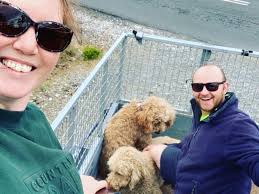 Woman's joy as missing dogs return home after massive community search  efforts