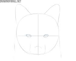 The front leg line starts just above the belly line and continues down to the paw. How To Draw A Fox Face