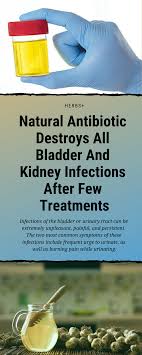 Natural Antibiotic Destroys All Bladder And Kidney Infections After Few Treatments In 2020 Bladder Infection Remedies Cure Bladder Infection Kidney Infection