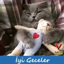 Isik Vet Vtm Isik Veteriner Tip Merkezi