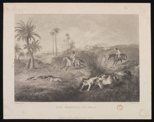 FOX HUNTING IN INDIA | Pittman, J. | Paterson, G. | Bateman, J. | V&A Explore The Collections