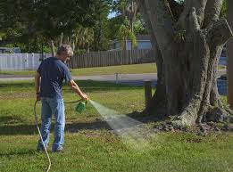 Herbicide That Kills Everything But Bermuda Grass 5 Top Solutions Pepper S Home Garden