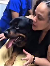 Heartbreaking!! 💔 I feel her pain. He died in her arms😢