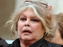 La citation la plus longue de brigitte bardot est : Flight Plan Youth And Vigor Are No Match For Old Age And Treachery Brigitte Bardot Bardot Brigitte