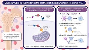 Image result for BCL2 Inhibitor
