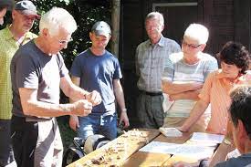 We did not find results for: Pilze Natur Und Vogelschutzverein Birsfelden