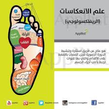 ابليست بالعربية On Twitter Health Facts Fitness Health And Fitness Expo Health Facts
