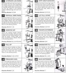 59 Rare Weider Exercise Chart