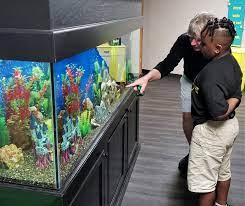 Aquarium Maintenance Service: BusinessHAB.com