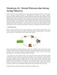 Gambar rantai makanan di sawah, kebun, hutan, sungai, laut, dan manusia. Ekosistem 4 Rantai Makanan Dan Jaring Jaring