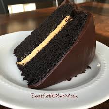 Meanwhile, for filling, combine flour and milk in a saucepan until smooth. Chocolate Pumpkin Cake Sweet Little Bluebird