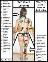 Referred Pain